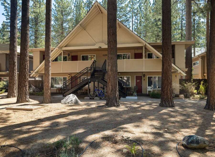 Discover this charming apartment complex nestled among tall pine trees, offering a serene and natural living environment.