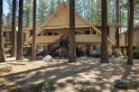 Discover this charming apartment complex nestled among tall pine trees, offering a serene and natural living environment.