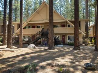 Discover this charming apartment complex nestled among tall pine trees, offering a serene and natural living environment.