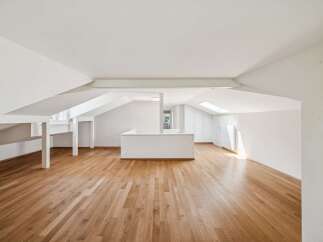 Discover this spacious attic apartment featuring a beautiful hardwood floor that extends throughout the open-concept living area.