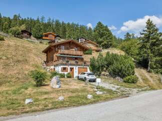 Nestled amidst a lush green forest, this charming wooden chalet offers a serene mountain retreat.