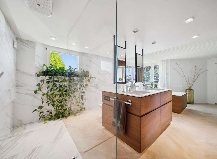 Experience luxury in this modern bathroom featuring a spacious walk-in shower with marble accents and a lush hanging plant.