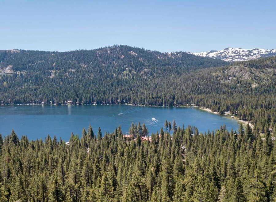 Experience the ultimate lakeside living with this stunning aerial view of a serene blue lake surrounded by lush green pine forests.