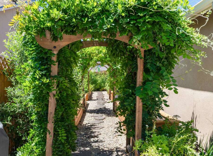 Step into a lush, green oasis with this charming garden pathway, perfectly framed by a wooden arbor draped in vibrant foliage.