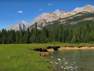 Discover your dream home nestled amidst breathtaking natural beauty.