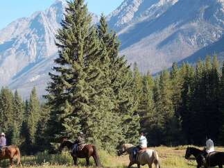 Experience the ultimate mountain lifestyle with this stunning property offering breathtaking views and unparalleled outdoor adventure.