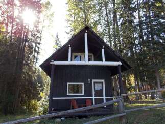 Escape to this charming rustic cabin nestled amongst tall trees, offering a serene getaway.
