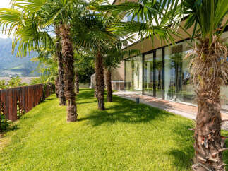 Experience luxury living with this stunning property featuring a meticulously manicured lawn and mature palm trees.