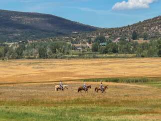 Experience the ultimate rural lifestyle with this stunning property offering breathtaking mountain views and expansive open fields perfect for equestrian activities.