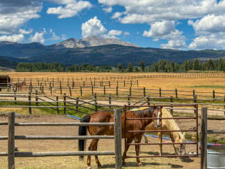 Experience the equestrian lifestyle with this stunning property featuring spacious pastures and riding arenas, perfect for horse lovers.