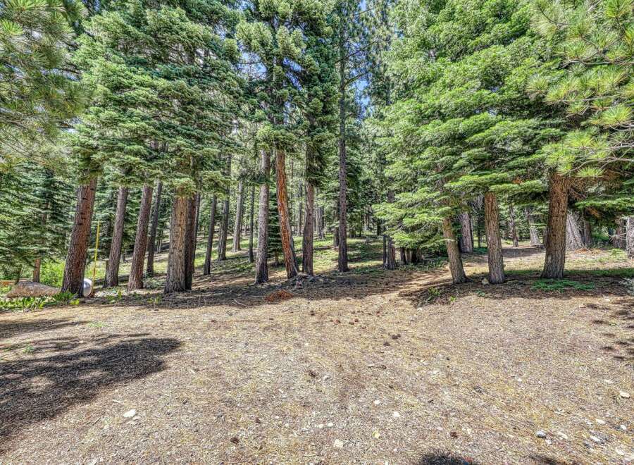 Escape to this serene forest setting, perfect for building your dream home or a tranquil getaway.