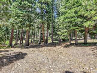 Escape to this serene forest setting, perfect for building your dream home or a tranquil getaway.