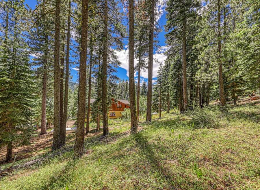 Nestled amongst tall pine trees, this charming home offers a serene mountain retreat.