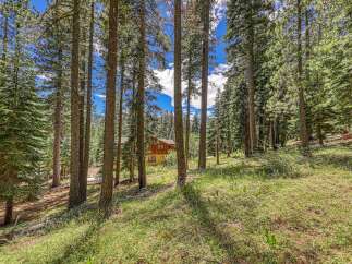 Nestled amongst tall pine trees, this charming home offers a serene mountain retreat.