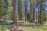 Nestled within a serene pine forest, this property offers a tranquil escape surrounded by mature trees and lush greenery.