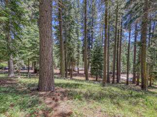 Nestled within a serene pine forest, this property offers a tranquil escape surrounded by mature trees and lush greenery.