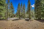 Nestled amidst towering pine trees, this property offers a serene and private retreat.