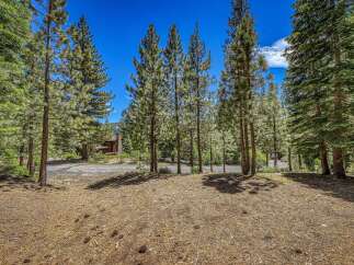 Nestled amidst towering pine trees, this property offers a serene and private retreat.