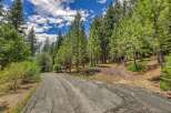 Discover your dream mountain retreat with this stunning property, nestled amidst towering pine trees and lush greenery.