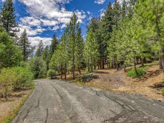 Discover your dream mountain retreat with this stunning property, nestled amidst towering pine trees and lush greenery.