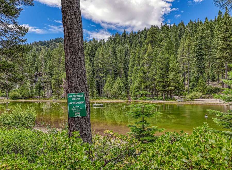 Discover a private oasis with this stunning lakefront property, nestled amidst a dense forest of towering pine trees.