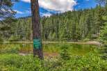 Discover a private oasis with this stunning lakefront property, nestled amidst a dense forest of towering pine trees.