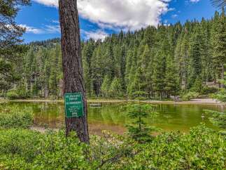 Discover a private oasis with this stunning lakefront property, nestled amidst a dense forest of towering pine trees.