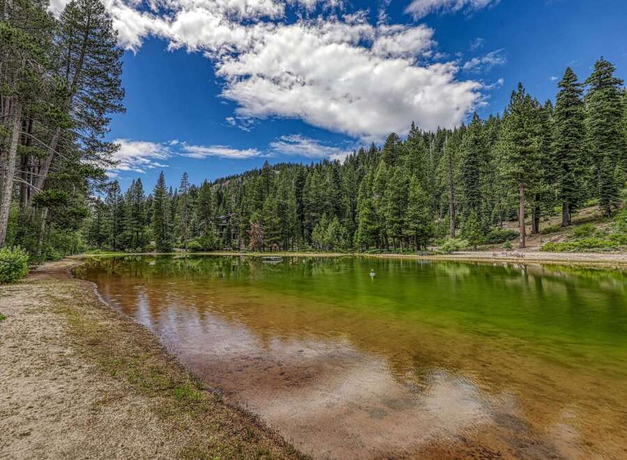 Escape to this serene lakeside property surrounded by lush pine forests and a crystal-clear lake.