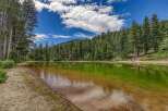 Escape to this serene lakeside property surrounded by lush pine forests and a crystal-clear lake.