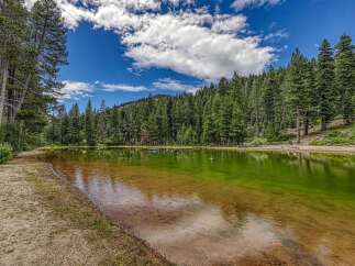 Escape to this serene lakeside property surrounded by lush pine forests and a crystal-clear lake.