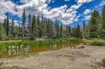 Escape to this serene mountain retreat featuring a private pond surrounded by towering pine trees.