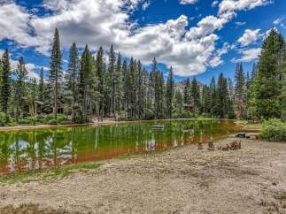 Escape to this serene mountain retreat featuring a private pond surrounded by towering pine trees.