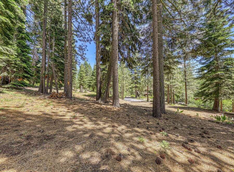 Nestled within a serene pine forest, this property offers a tranquil escape with mature trees and a natural, untouched landscape.