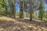 Nestled within a serene pine forest, this property offers a tranquil escape with mature trees and a natural, untouched landscape.