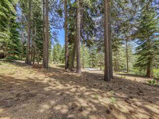 Nestled within a serene pine forest, this property offers a tranquil escape with mature trees and a natural, untouched landscape.