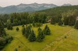 Nestled amidst a lush forest and rolling green hills, this property offers a serene mountain retreat.