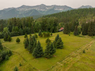 Nestled amidst a lush forest and rolling green hills, this property offers a serene mountain retreat.