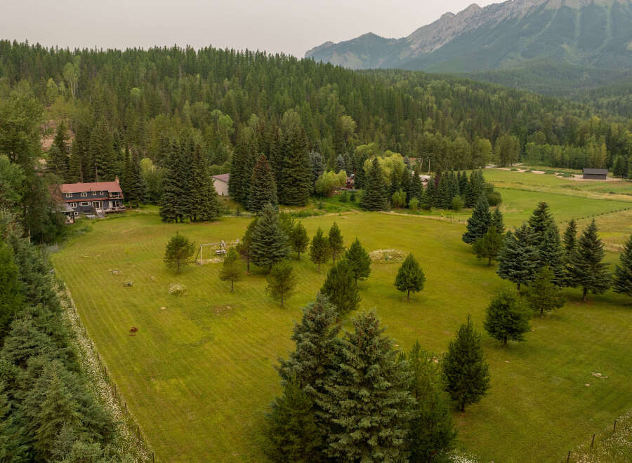 Nestled amidst a lush forest and rolling green hills, this expansive property offers a serene retreat.