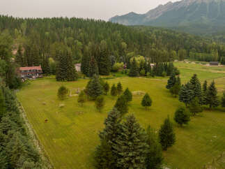 Nestled amidst a lush forest and rolling green hills, this expansive property offers a serene retreat.