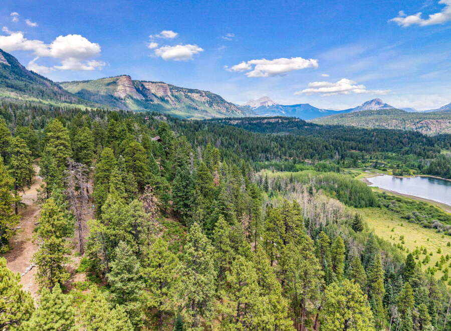 Discover your private mountain retreat nestled amidst a dense forest of mature pine trees, offering unparalleled tranquility and breathtaking views.