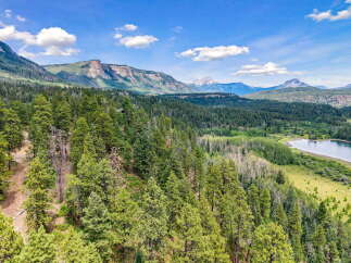 Discover your private mountain retreat nestled amidst a dense forest of mature pine trees, offering unparalleled tranquility and breathtaking views.