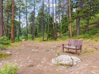 Discover your private oasis with this charming wooden bench nestled amongst tall pine trees.