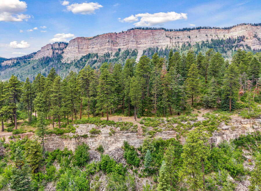 Discover breathtaking natural beauty with this stunning mountain landscape, featuring majestic cliffs and a dense forest of evergreen trees.