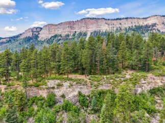 Discover breathtaking natural beauty with this stunning mountain landscape, featuring majestic cliffs and a dense forest of evergreen trees.