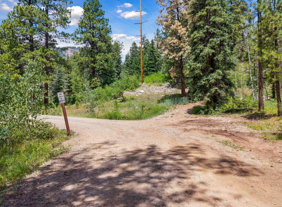 Discover the potential of this secluded parcel, nestled amidst a serene forest landscape with towering pine trees and a clear blue sky.