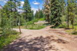 Discover the potential of this secluded parcel, nestled amidst a serene forest landscape with towering pine trees and a clear blue sky.
