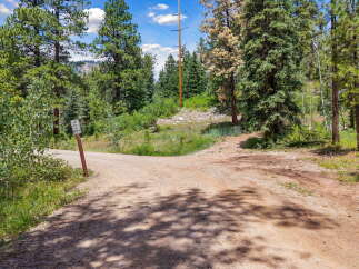 Discover the potential of this secluded parcel, nestled amidst a serene forest landscape with towering pine trees and a clear blue sky.