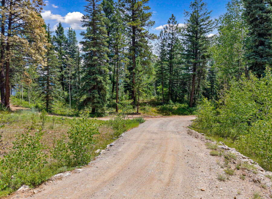 Discover your private oasis with this stunning property featuring a scenic dirt road leading through a lush forest.