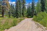 Discover your private oasis with this stunning property featuring a scenic dirt road leading through a lush forest.