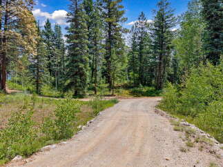 Discover your private oasis with this stunning property featuring a scenic dirt road leading through a lush forest.